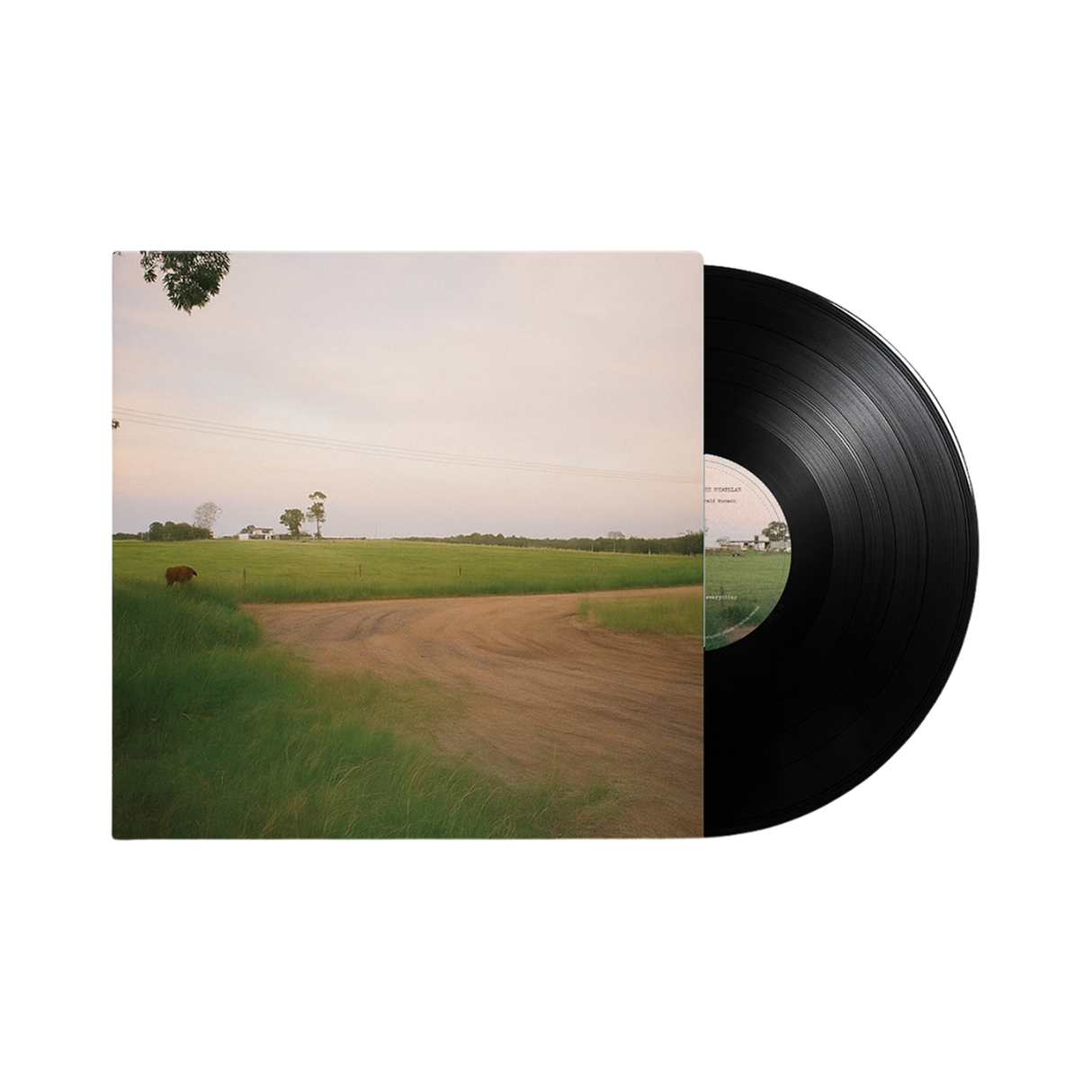 The Man The Myth The Meatslab - The Chronicles of Gerald Womack / Finding Love In Wilmer pt.1 Vinyl