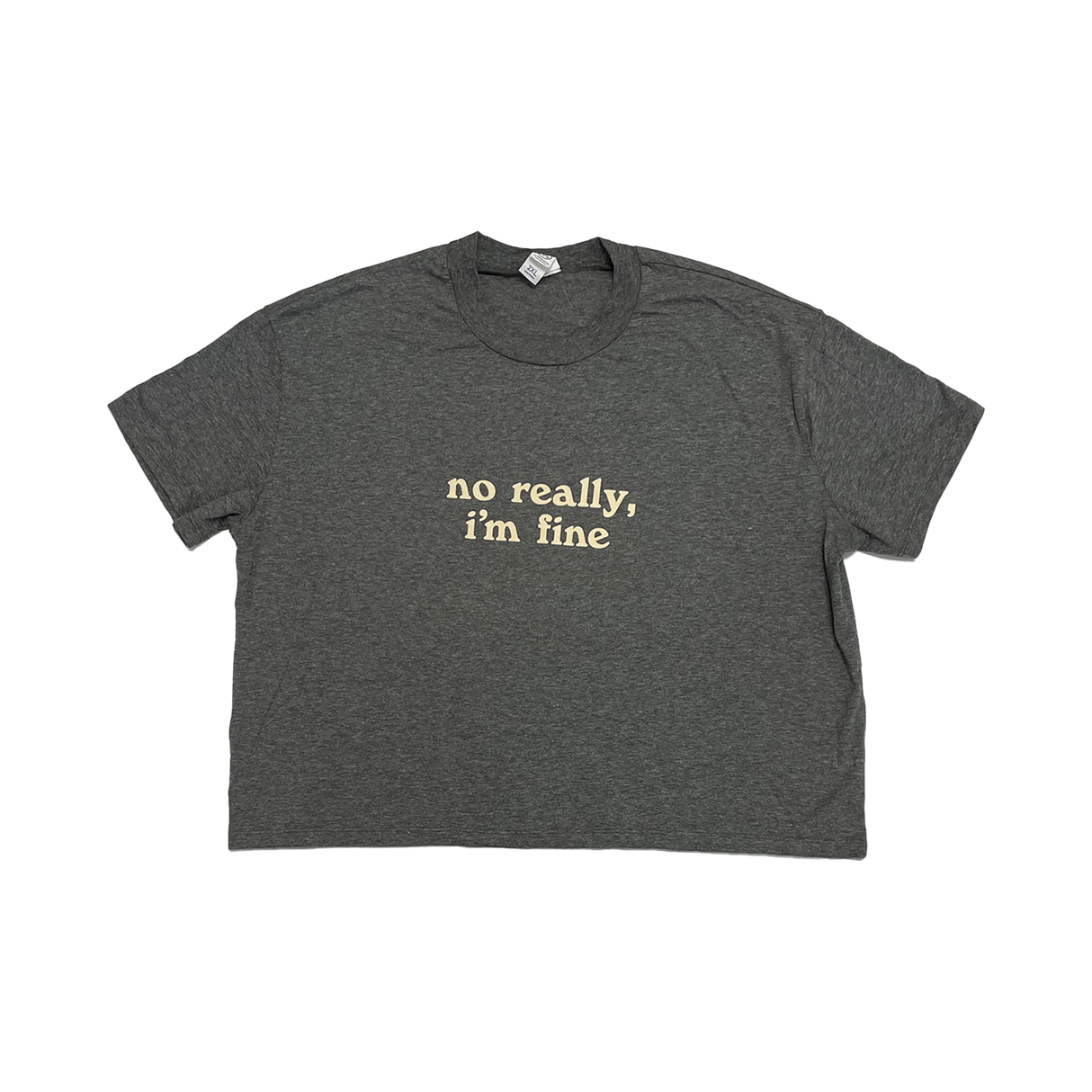 The Spill Canvas - NRIF Crop Top (Dark Grey)