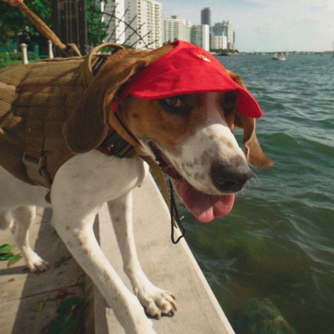 LPMADM - Red Dog Hat