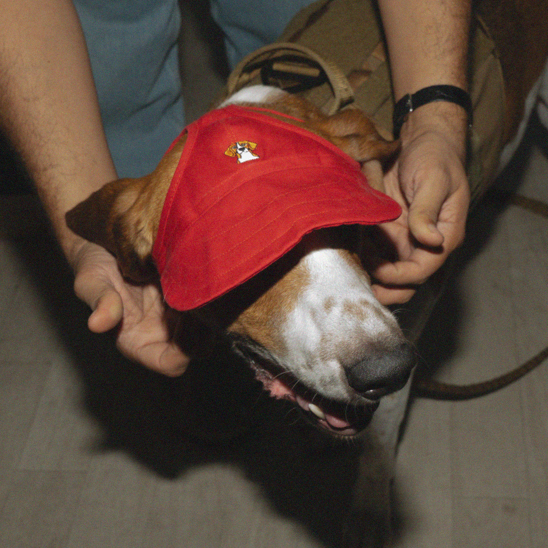 LPMADM - Red Dog Hat