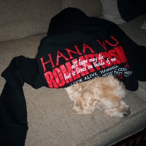 Hana Vu - Romance Movie Hoodie