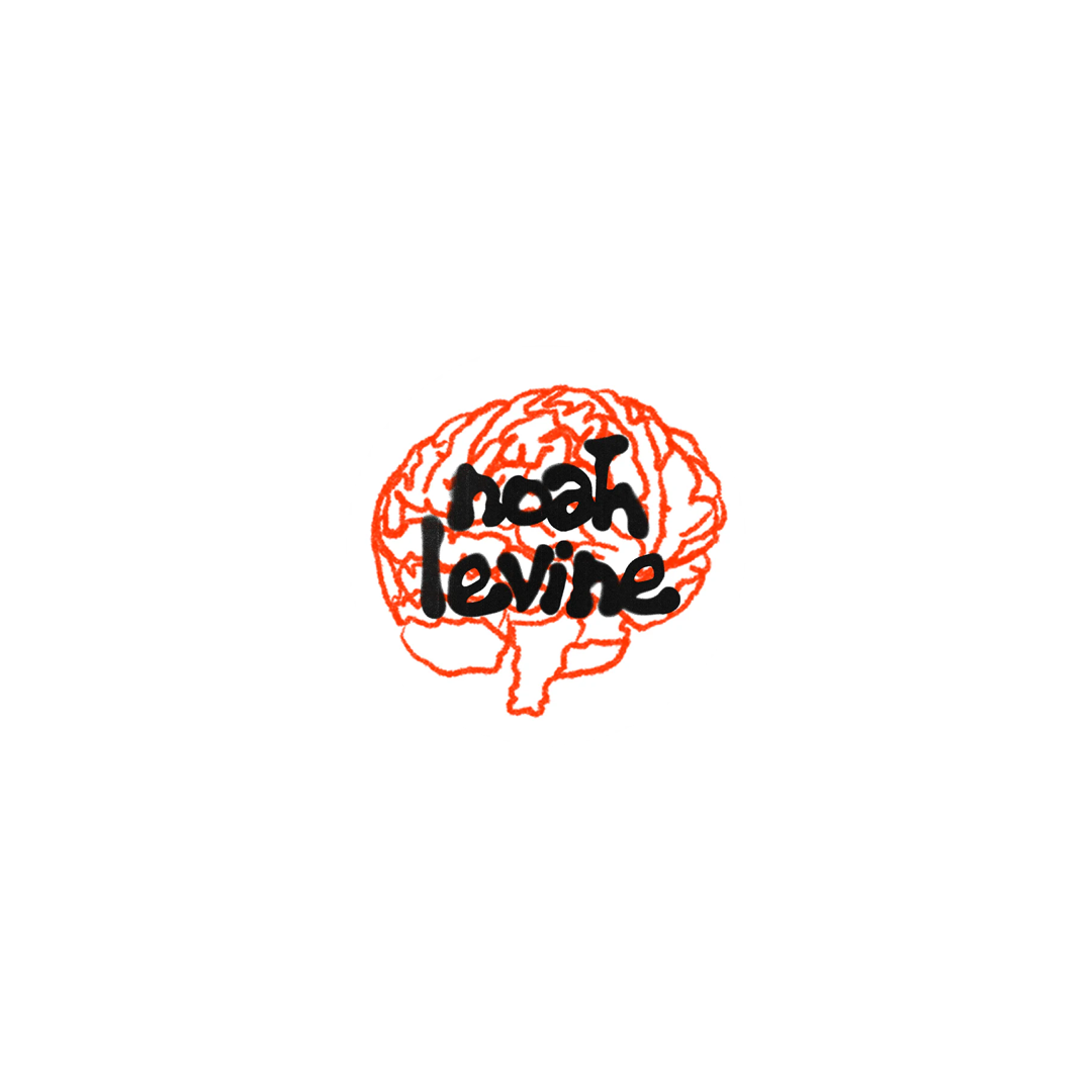 Noah Levine - Logo Sticker