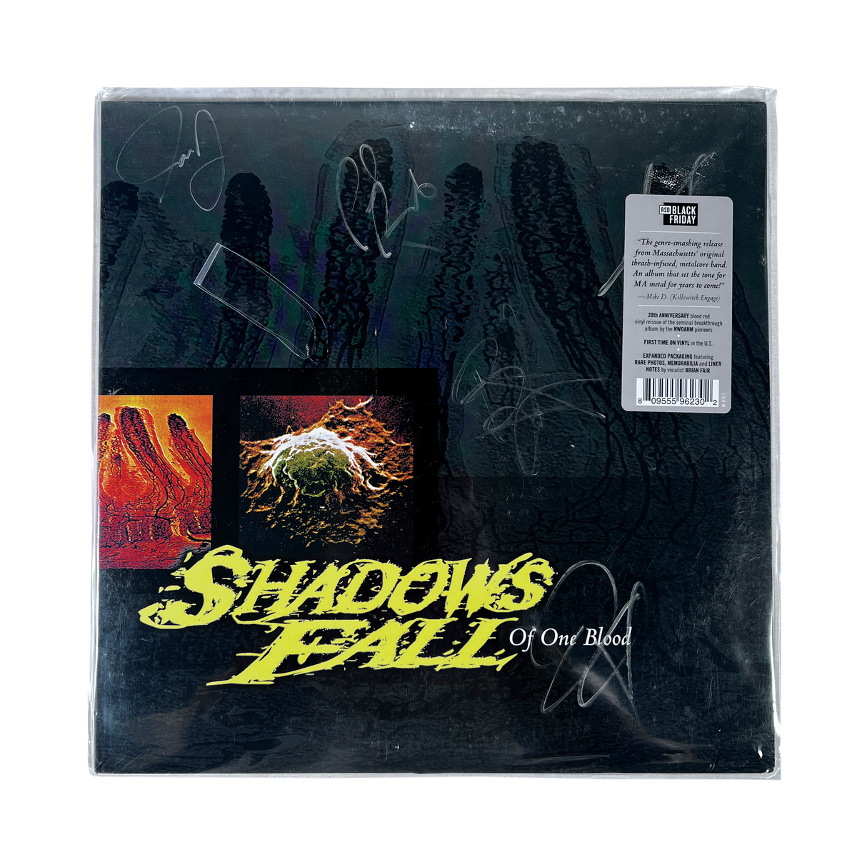Shadows Fall "Of One Blood" LP - Blood Red Vinyl (Signed)