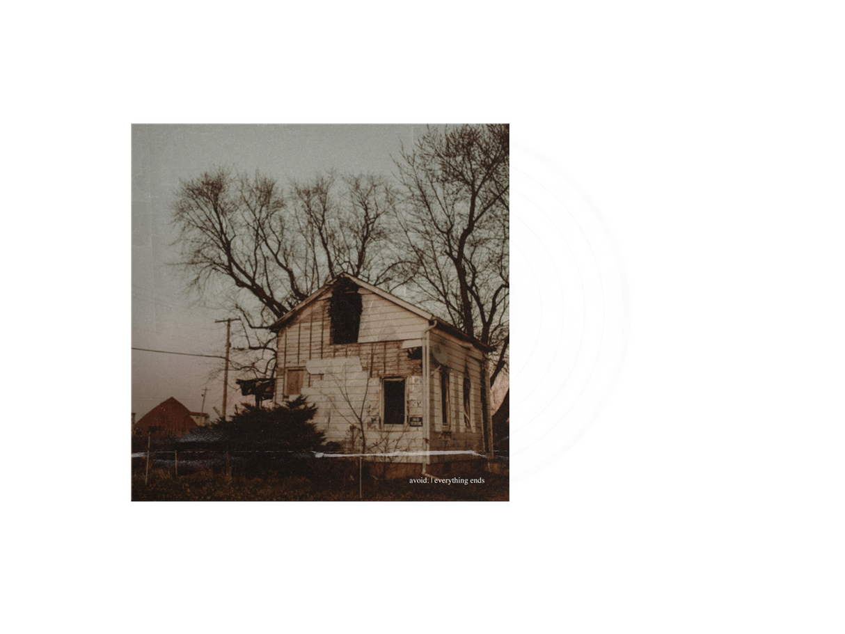 AVOID - Everything Ends Vinyl (White)