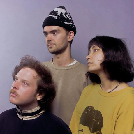 Spirit Of The Beehive