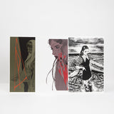 Poppy: Poppy's Inferno - Deluxe Book