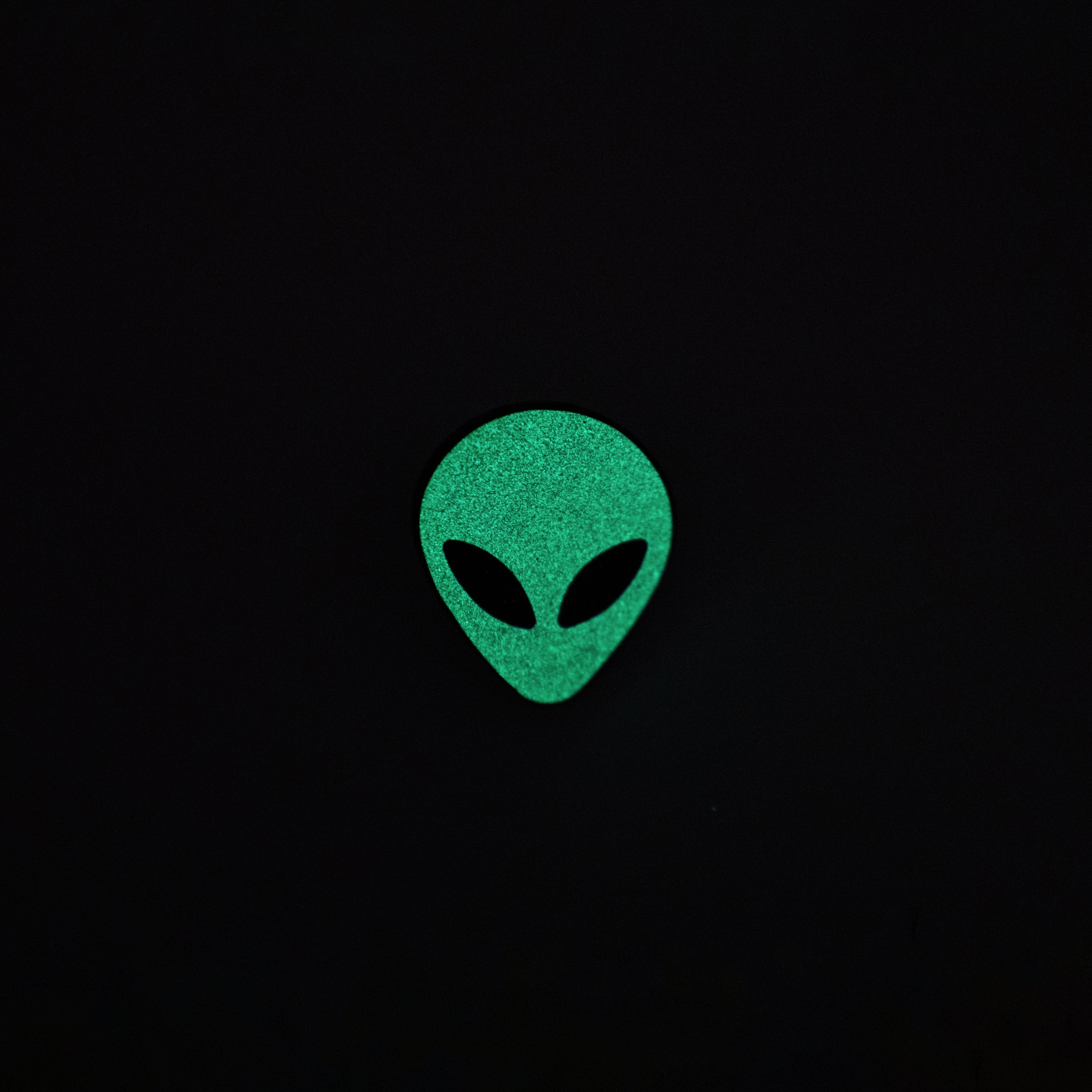 Alien Head Glow In The Dark Enamel Pin