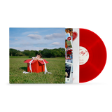 playpen / tiny but scary vinyl