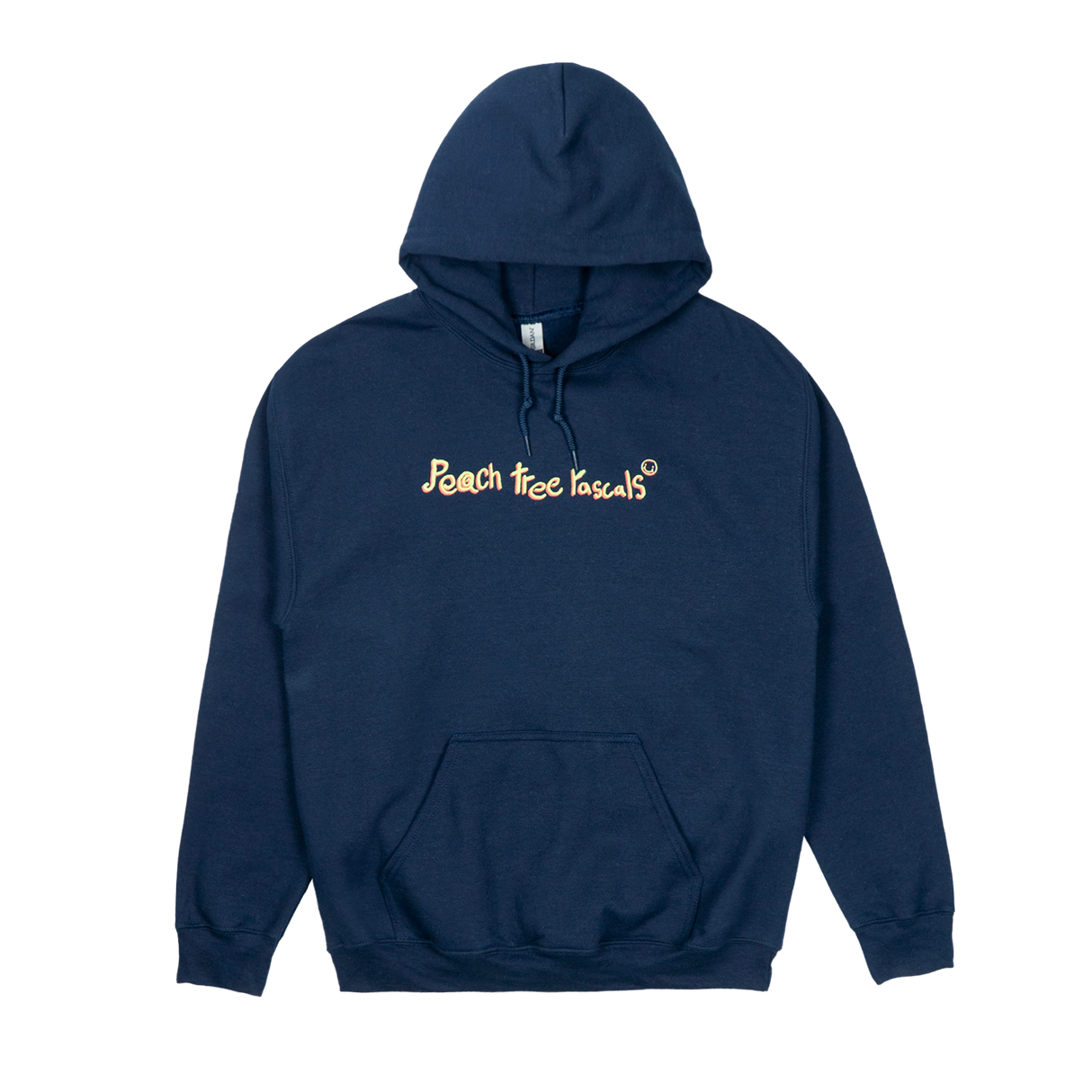 Peach Tree Rascals - For You Tour Hoodie