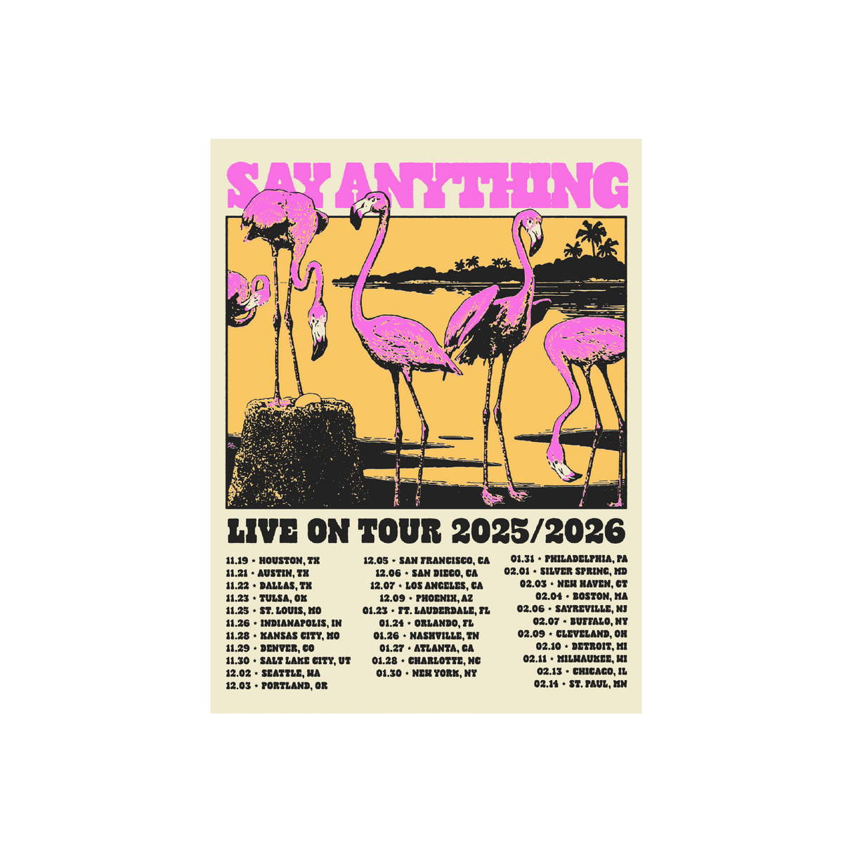 Say Anything - Flamingo Tour Poster