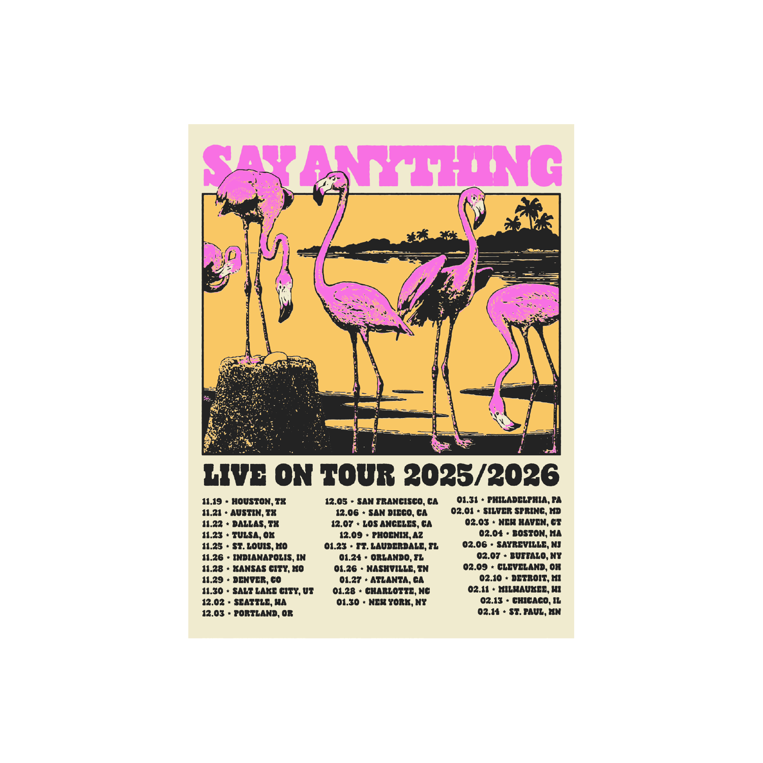 Say Anything - Flamingo Tour Poster