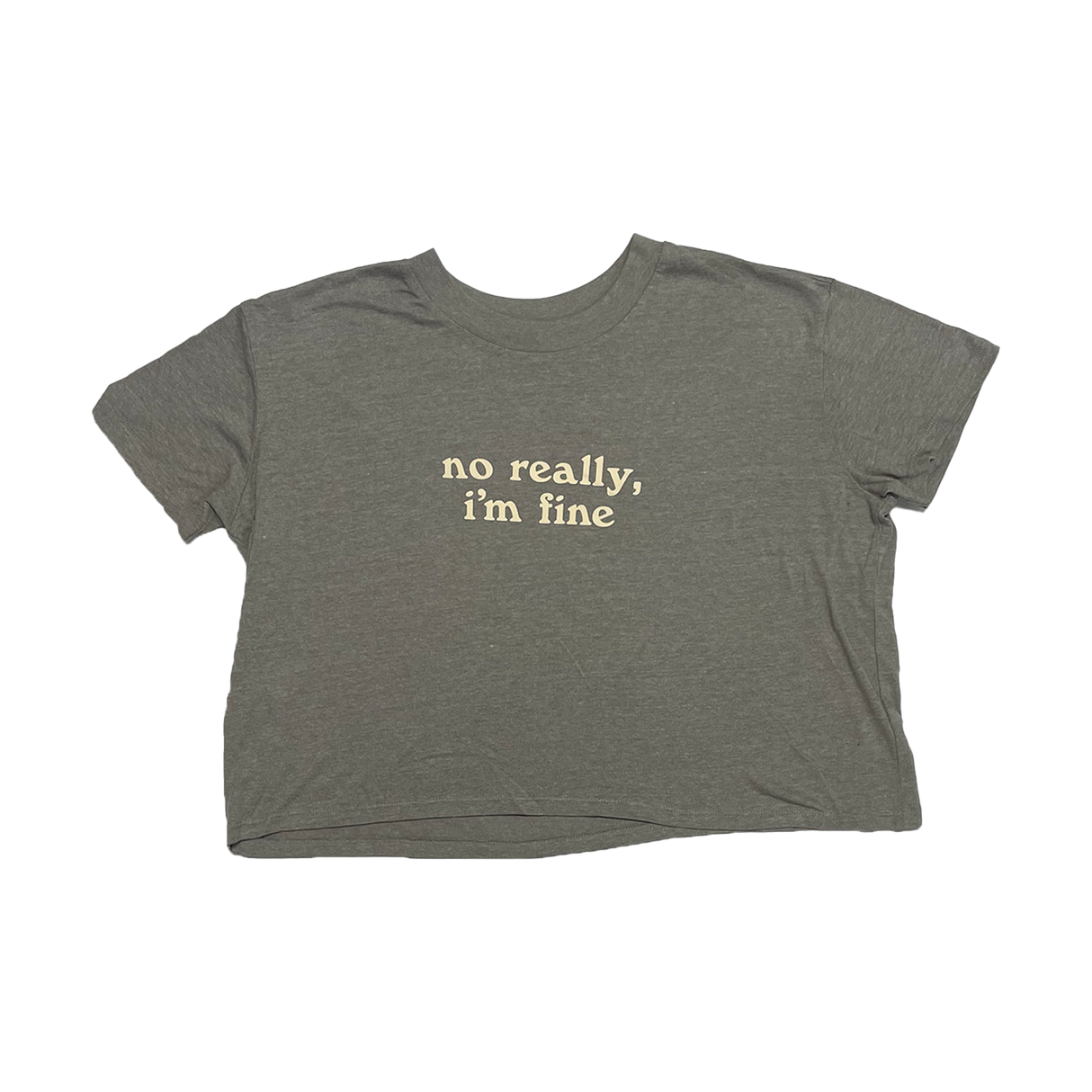 The Spill Canvas - NRIF Crop Top (Light Grey)