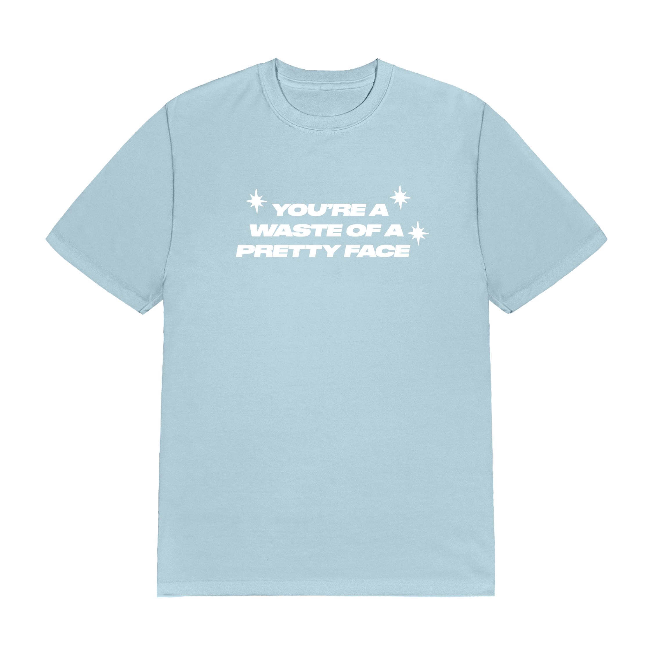 Ally Salort - You're A Waste Of A Pretty Face T-Shirt
