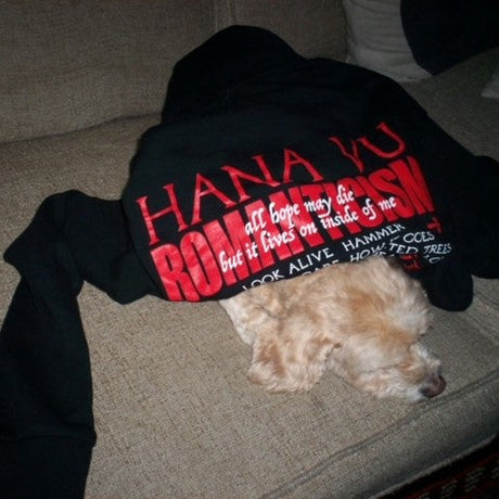 Hana Vu - Romance Movie Hoodie