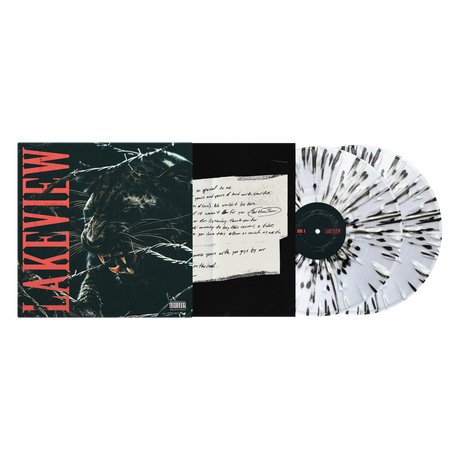 Lakeview - Debut Album 2 Disc Vinyl