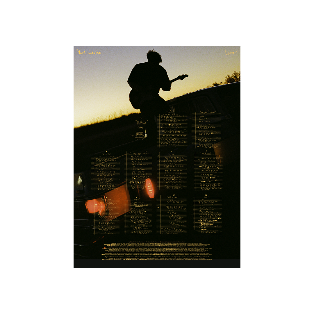 Noah Levine - Leaver Poster