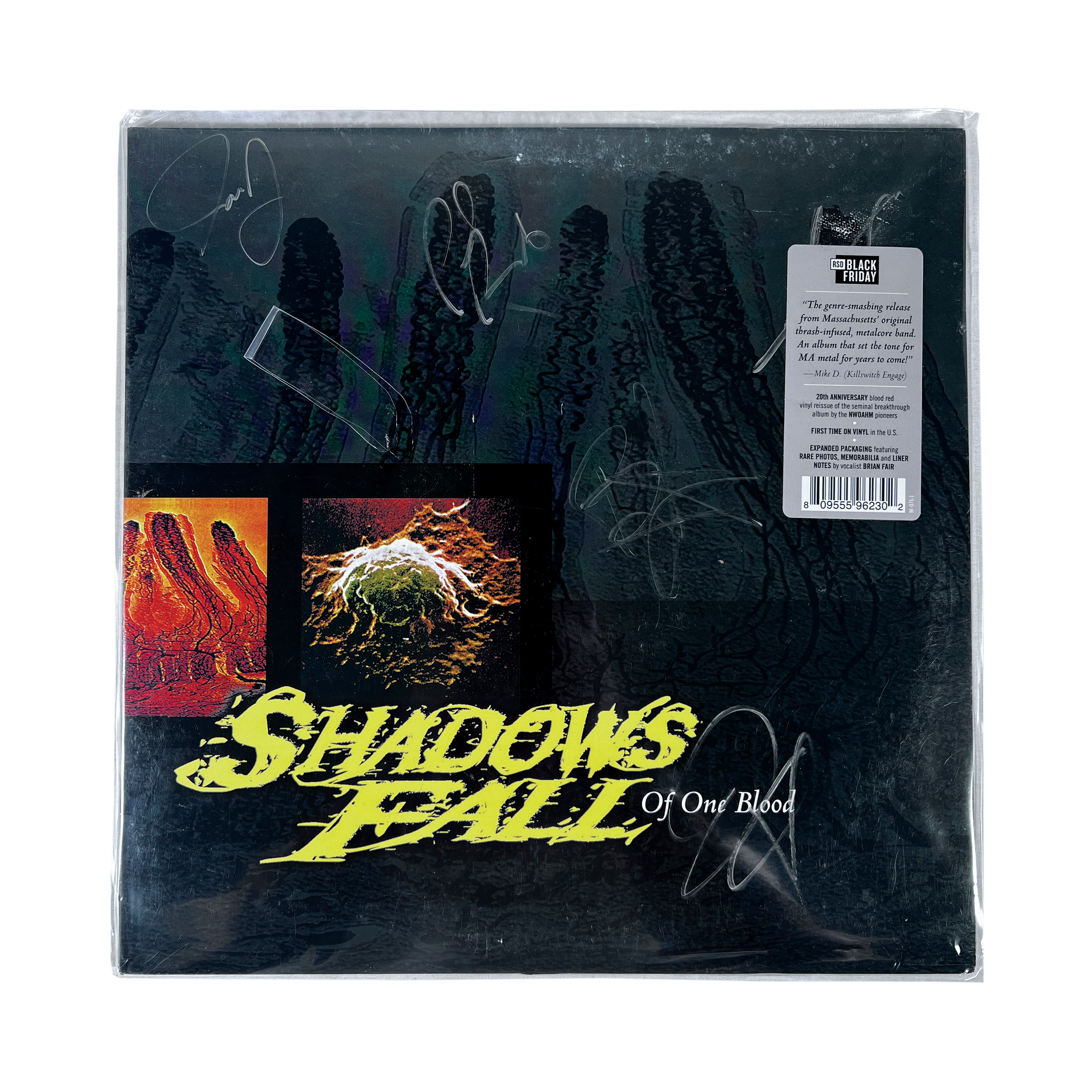 Shadows Fall 