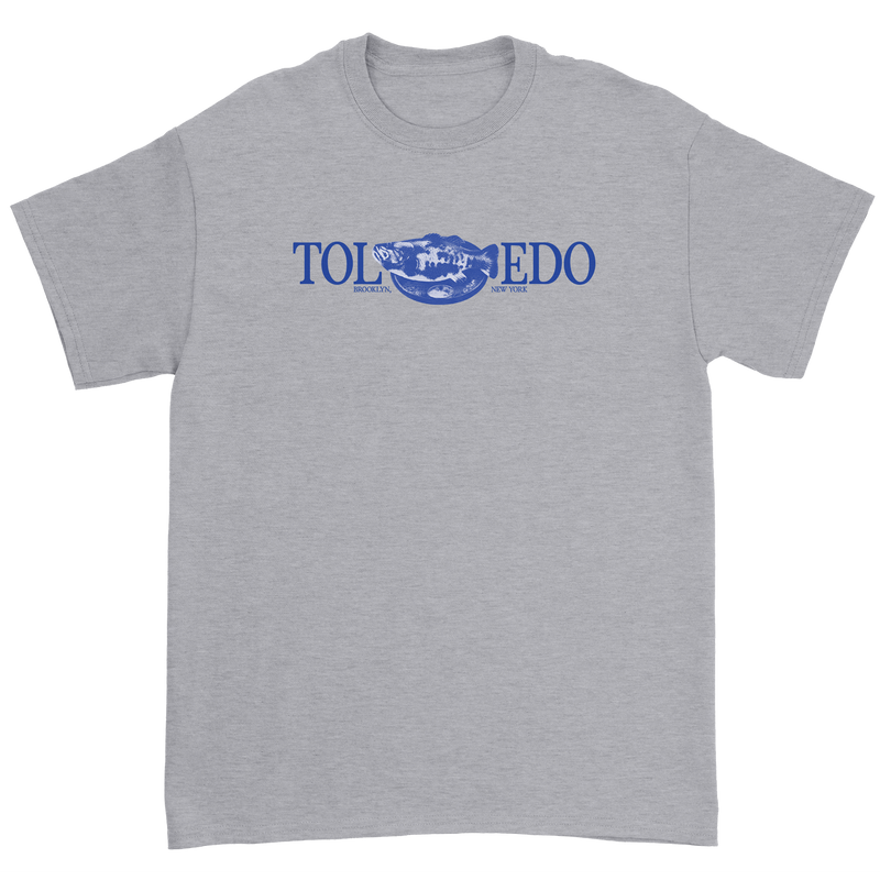 a grey t-shirt with blue text